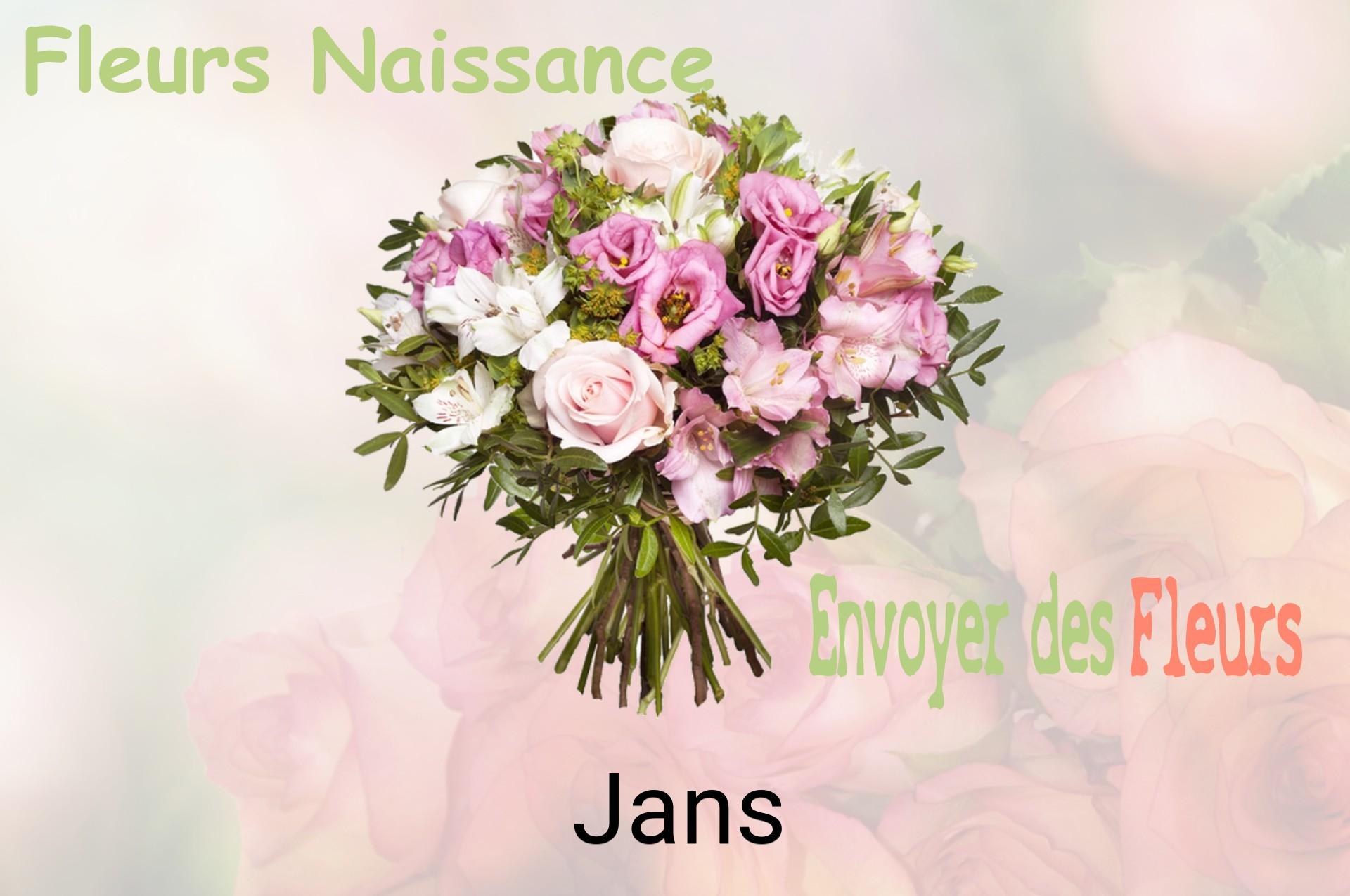 Bouquet de fleurs de naissance livré à Jans
